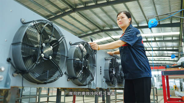 弗蘭雪企業(yè)宣傳片